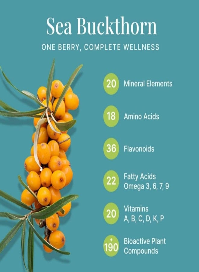 CONSA Organic Sea Buckthorn Berry Powder - 100% Pure Sea Buckthorn Powder - Source of Various Vitamins & Minerals (100 Gram) - Image 5